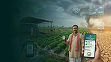 Plutas_Banner_microinsurance for climate shocks.png