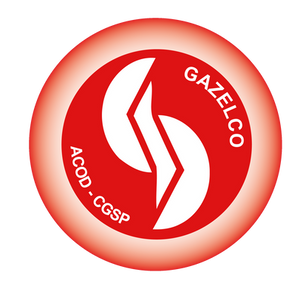 Déclaration Gazelco