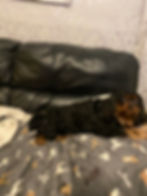 323345023_5720416954674067_7364088579815113447_n