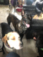 312452443_528597369275169_519927298311162840_n