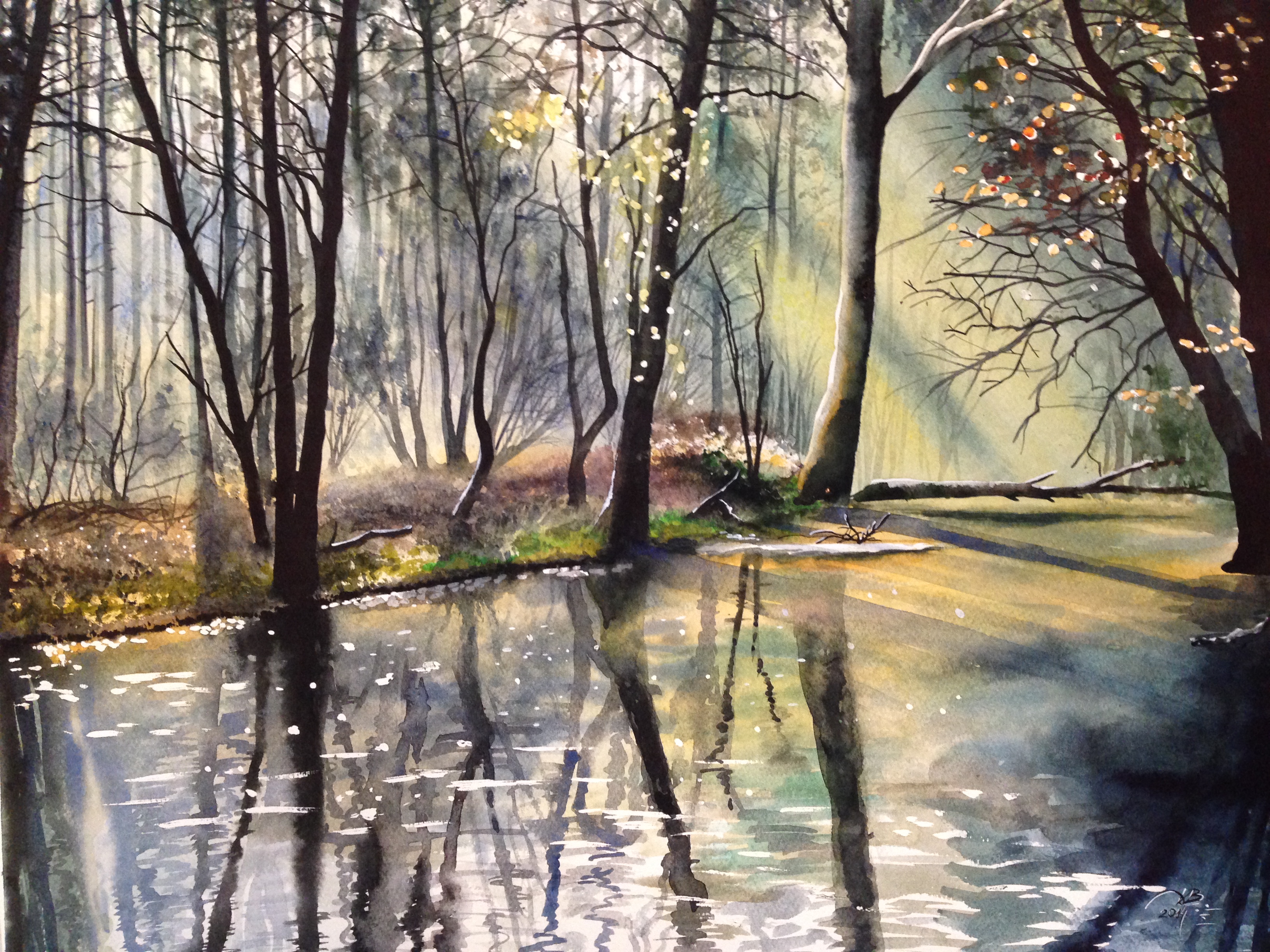 Forest river
