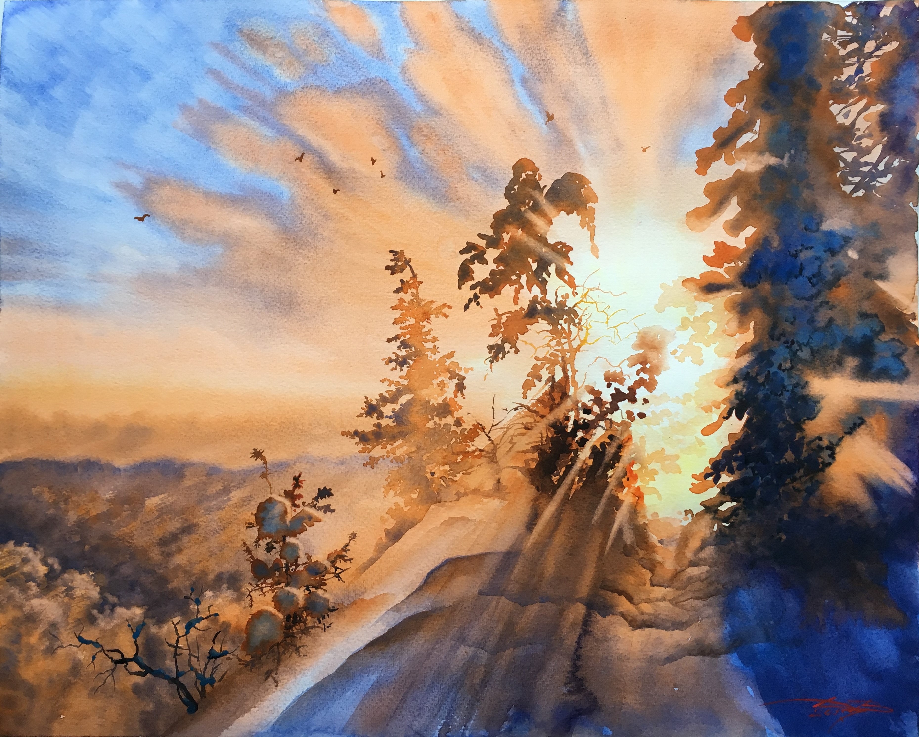 Sunset