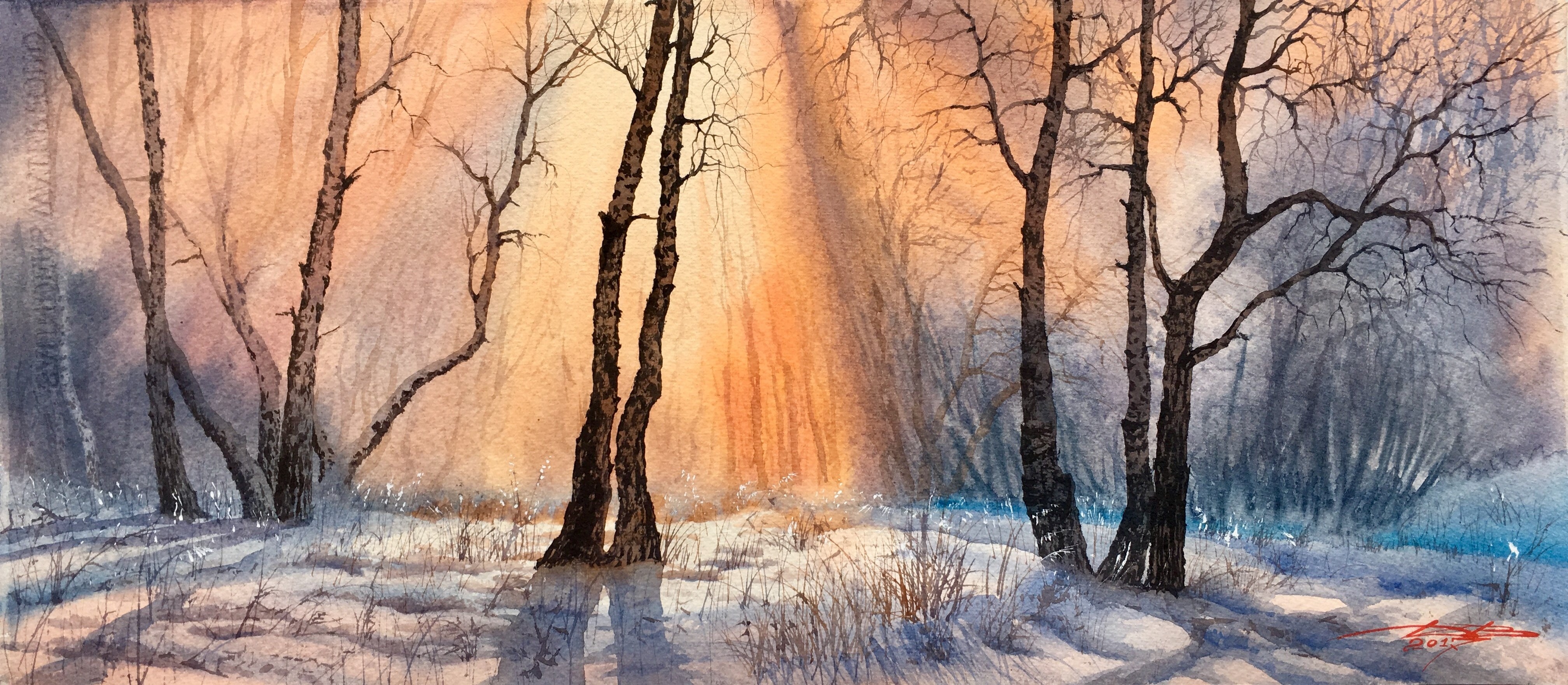 Winter forest