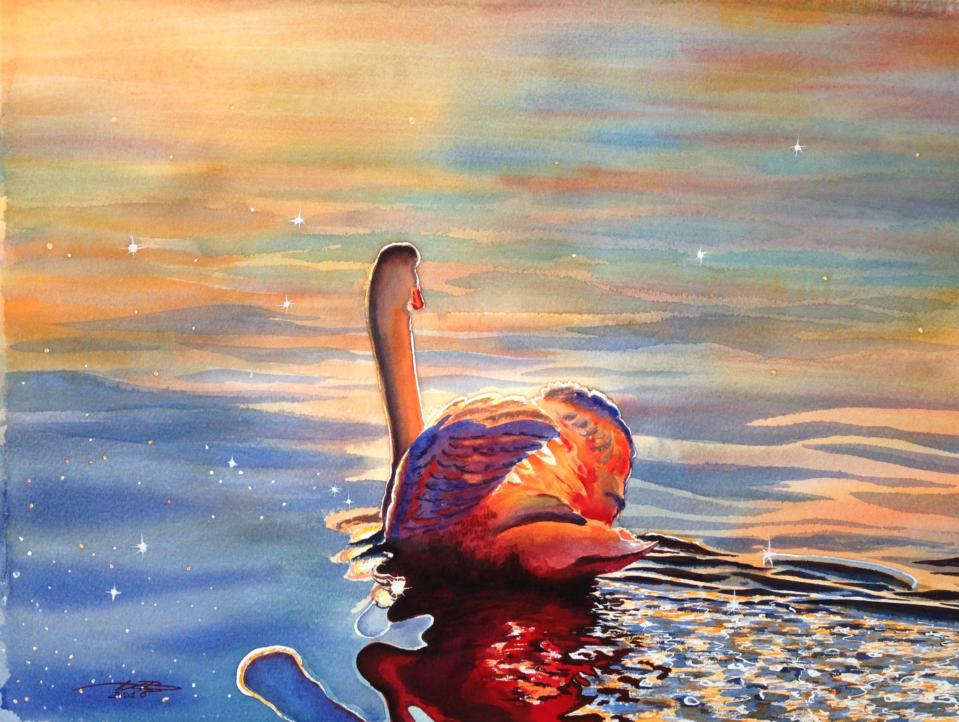 Swan