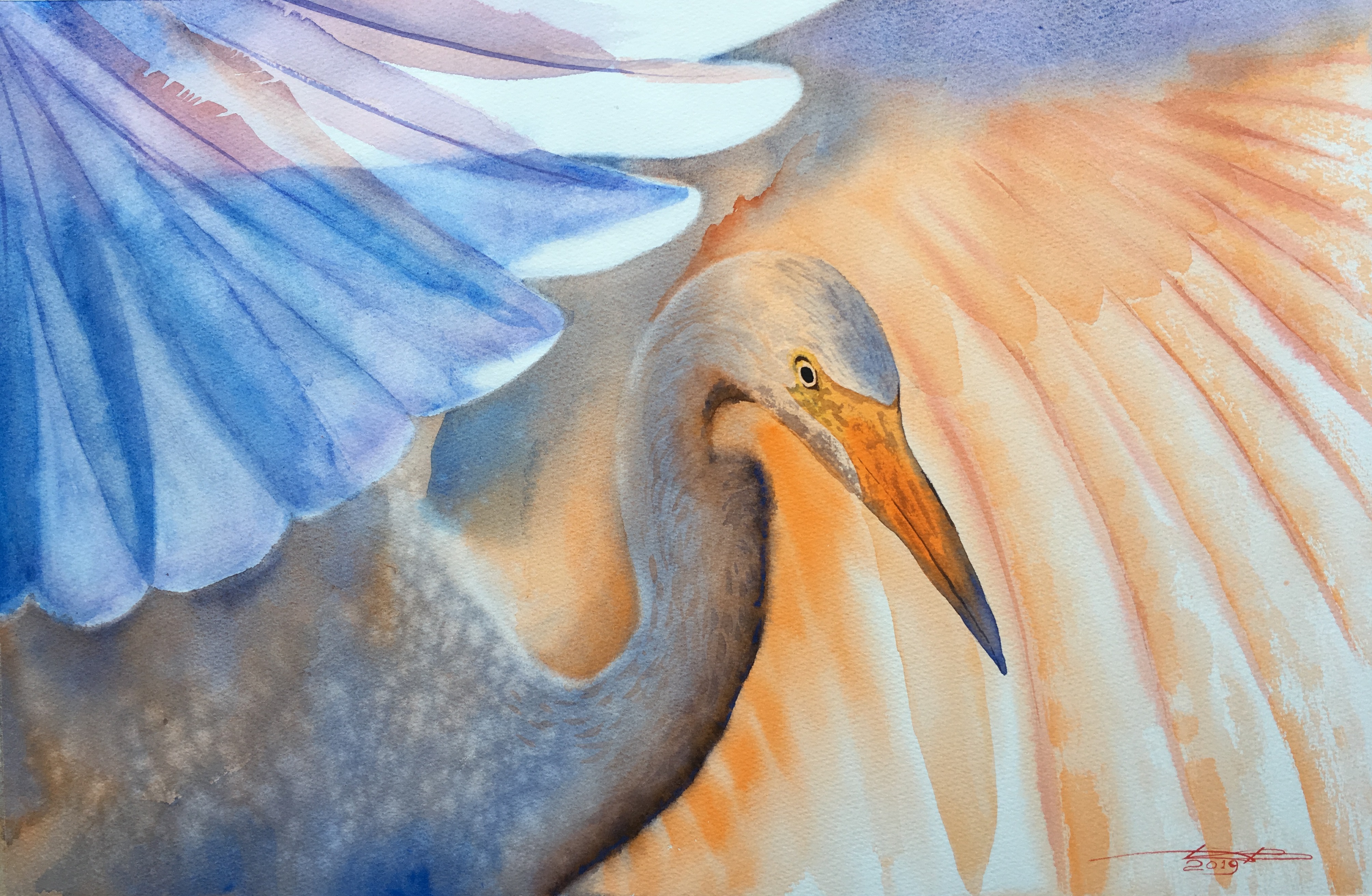 Heron