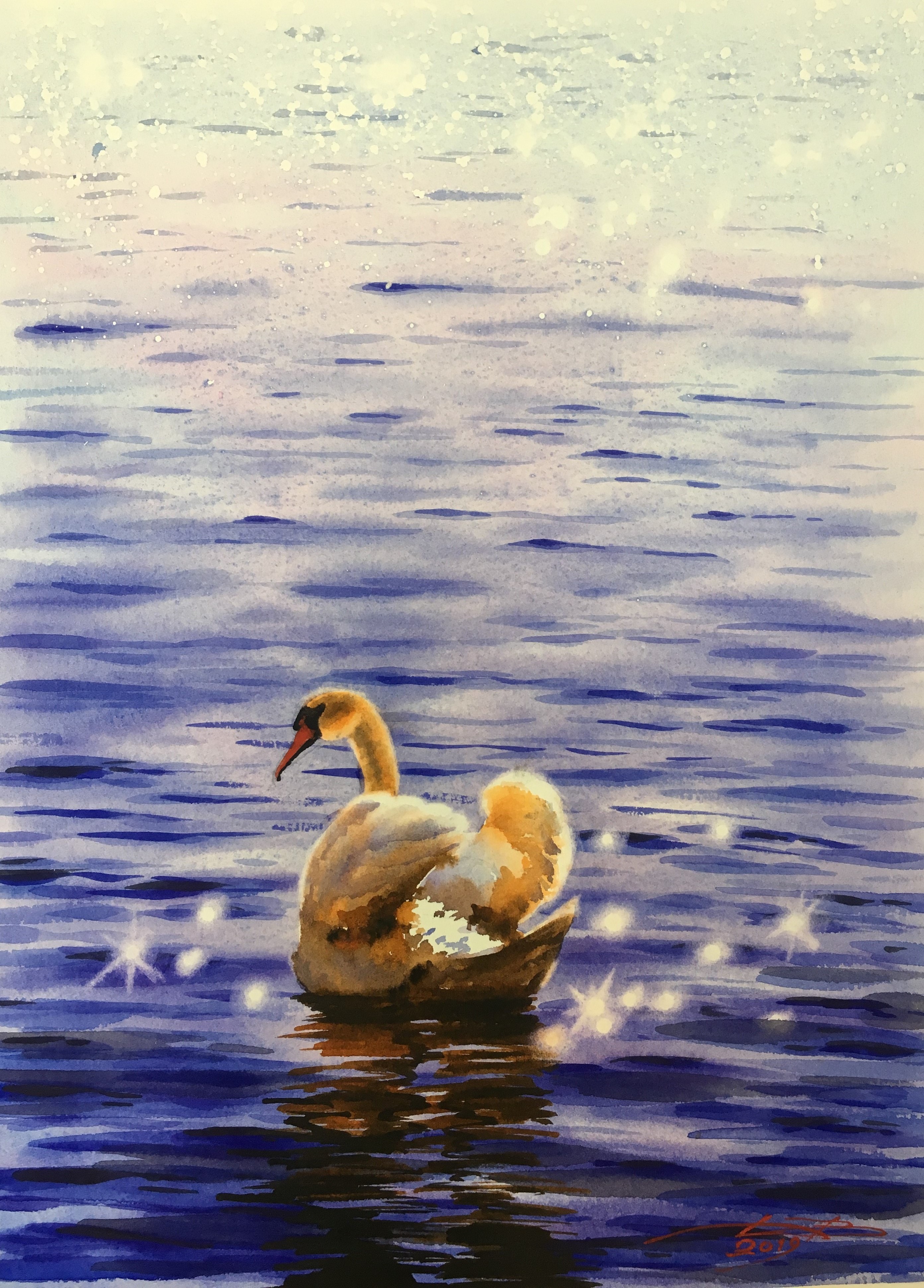 SWAN
