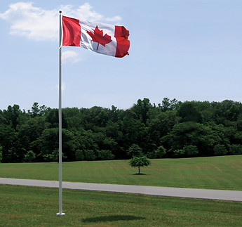 Commercail fiberglass flagpole flying in a park.