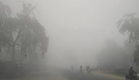 47 जिलों में IMD ने जारी किया कोहरे के साथ शीत लहर का रेड अलर्ट