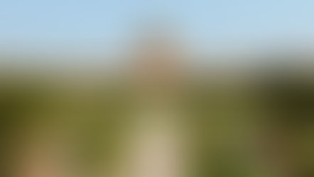 राष्ट्रपति चुनाव के लिए 18 जुलाई को डाले जाएंगे वोट, 21 जुलाई को देश को मिलेंगे नए महामहिम