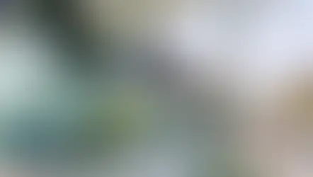 एयरपोर्ट पर दूसरे के पास से ATC की ओर जा रहे युवक को CISF जवानों ने दबोचा
