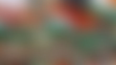 नगर निकाय चुनाव में कांग्रेस का टिकट चाहिये तो पूरी करनी होंगी ये शर्तें