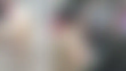 कुत्ते के असली मालिक की खोज में घंटों हंगामा