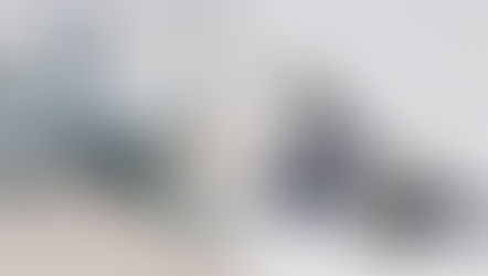 भारतीय नौसेना में जल्द शामिल होगा फ्रांसीसी राफेल या अमेरिकी एफ-18