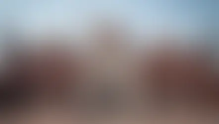 जामा मस्जिद और श्रीकृष्ण विग्रह मामले में अब 6 नवंबर को सुनवाई