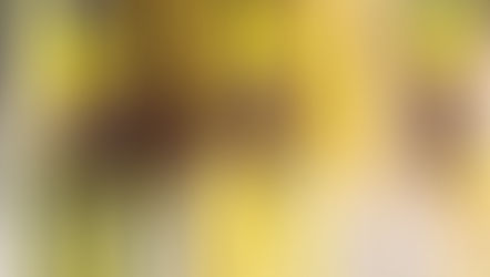 ओपी राजभर का दावा, 2024 के चुनाव में BJP के खिलाफ उतरेगा महागठबंधन