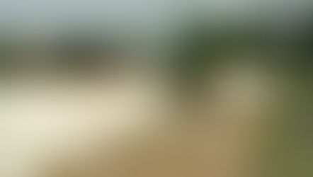 अमित शाह की मौजूदगी में 4 स्थानों पर जलाई गई 30,000 किलोग्राम से अधिक ड्रग्स