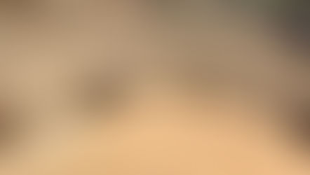 योगी आदित्यनाथ सरकार अब अन्नदाता से उनके दरवाजे पर जाकर खरीदेगी गेहूं