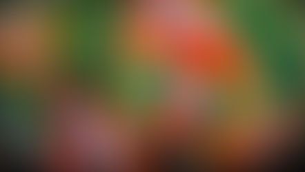 ताकत बढ़ाने में जुटी BJP, मुसलमानों के लिए बनेगी विकल्प, अपना रही ये नीति