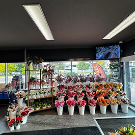 Florist Applecross
Fresh flowers Applecross
Flower delivery Applecross
Applecross florist and plants
Fresh bouquets in Applecross
Flowers and indoor plants Applecross
Local florist near Applecross
Premium flowers Applecross WA
Seasonal flowers Applecross
Fresh flower arrangements Applecross
Applecross supermarket florist
Affordable flowers Applecross
Flower bouquets available in Applecross
Beautiful fresh flowers Applecross
Indoor plants and flowers Applecross
Salisbury Lane Flowers Applecross
Fresh flowers near Applecross WA
Applecross flower and plant shop
Everyday flowers Applecross
Gift flowers Applecross