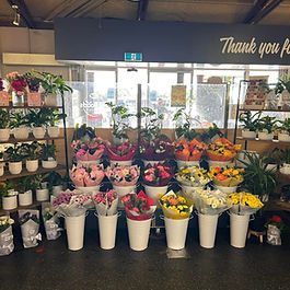 Florist Cooloongup
Fresh flowers Cooloongup
Flower delivery Cooloongup
Cooloongup florist and plants
Fresh bouquets in Cooloongup
Flowers and indoor plants Cooloongup
Local florist near Cooloongup
Premium flowers Cooloongup WA
Seasonal flowers Cooloongup
Fresh flower arrangements Cooloongup
Cooloongup supermarket florist
Affordable flowers Cooloongup
Flower bouquets available in Cooloongup
Beautiful fresh flowers Cooloongup
Indoor plants and flowers Cooloongup
Salisbury Lane Flowers Cooloongup
Fresh flowers near Cooloongup WA
Cooloongup flower and plant shop
Everyday flowers Cooloongup
Gift flowers Cooloongup