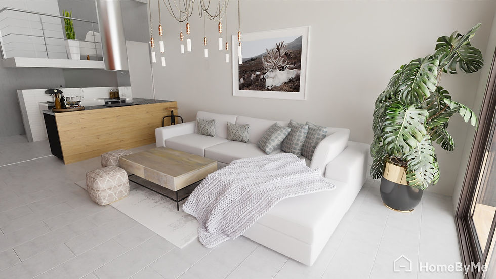 Livingroom & kitchen