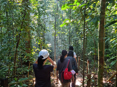Ecowellness walk@Dairy Farm Nature Park (June 2022)