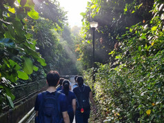 Eco-Wellness walk and talk @ Kent Ridge Park (Nov 2022)