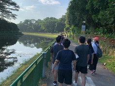 EcoWellness walk@Springleaf Nature Park - PCN - Lower Seletar Reservoir Park (July 2022)