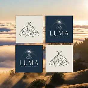 Luma carré CDV compo papillon-02.webp