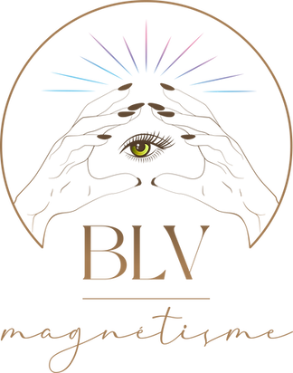 BLV Magnétisme RVB.png