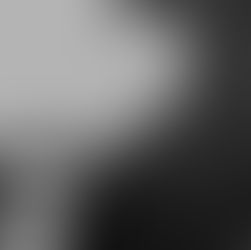 Artistic portrait of a contemplative high-class escort in a sensual, luxurious atmosphere