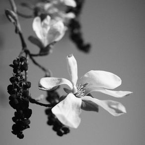 Organisation du planning d’une escort haut de gamme et maman