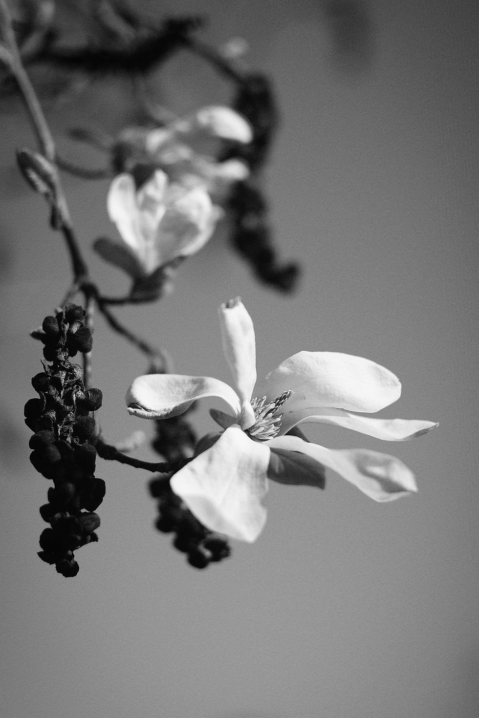 Learn how high-end escorts in Belgium and the Netherlands can embrace motherhood while maintaining visibility, luxury positioning, and elegance. A THCC guide to premium balance.