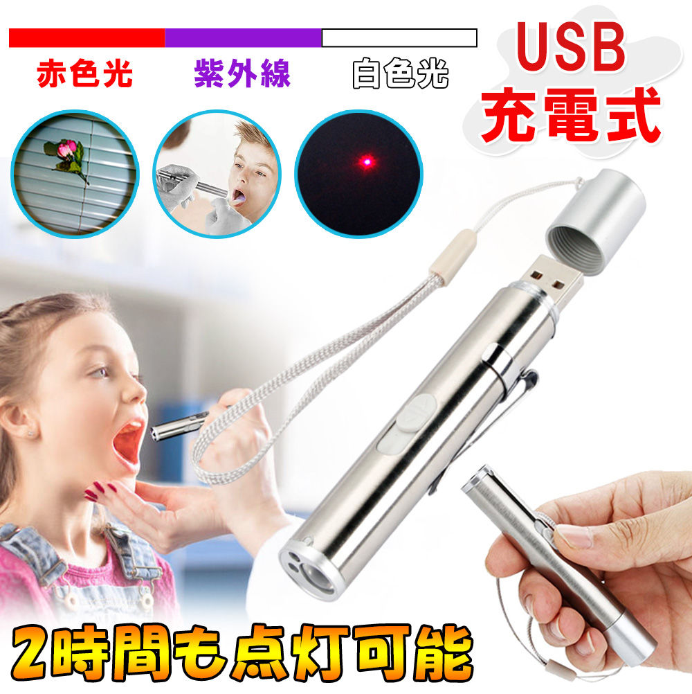 懐中電灯 高輝度 LEDライト 超ミニ 充電式 照明 ミニ ブルーライト 強光 赤外線機能 紙幣検札灯 D1022-USB-SV-S