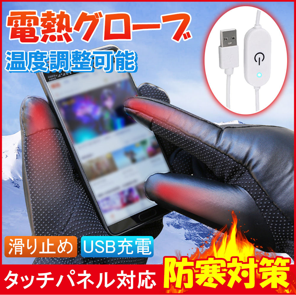 電熱グローブ ヒーターグローブ 防寒グローブ 手袋 男女兼用 バイク 自転車 PU切替 電熱手袋 冬 D1273-ST-BL