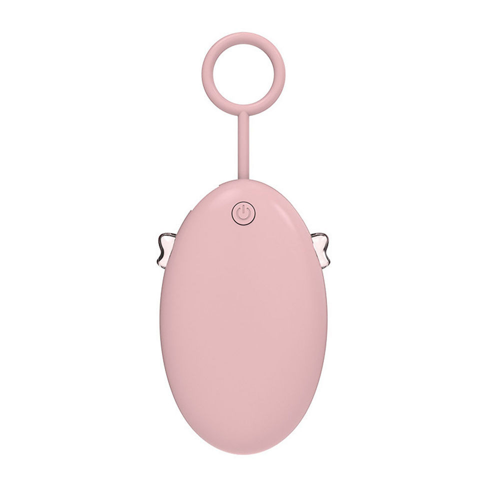 サムネイル： 電気カイロ 充電式カイロ 湯たんぽ 小型 軽量 寒さ対策 シンプルデザイン 即熱 2段階温度調節 D1166-NSB-WH