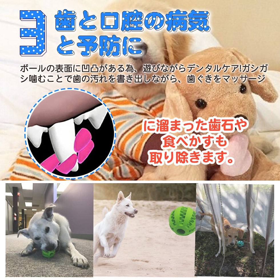 サムネイル： おやつボール 噛むおもちゃ 歯磨きボール ボール 知育 餌入り可能 ペット用おもちゃ 犬 丈夫 犬用 ボワンちゃん ストレス解消 D417-CW-BU-S