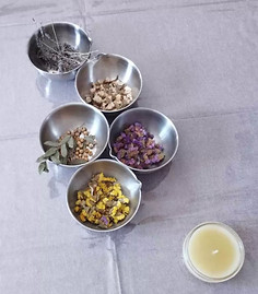 Atelier Seniors du Pays de Grasse