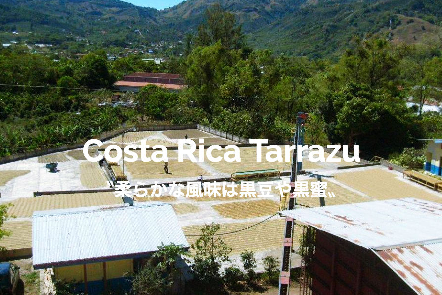 コスタリカ タラス 200g
