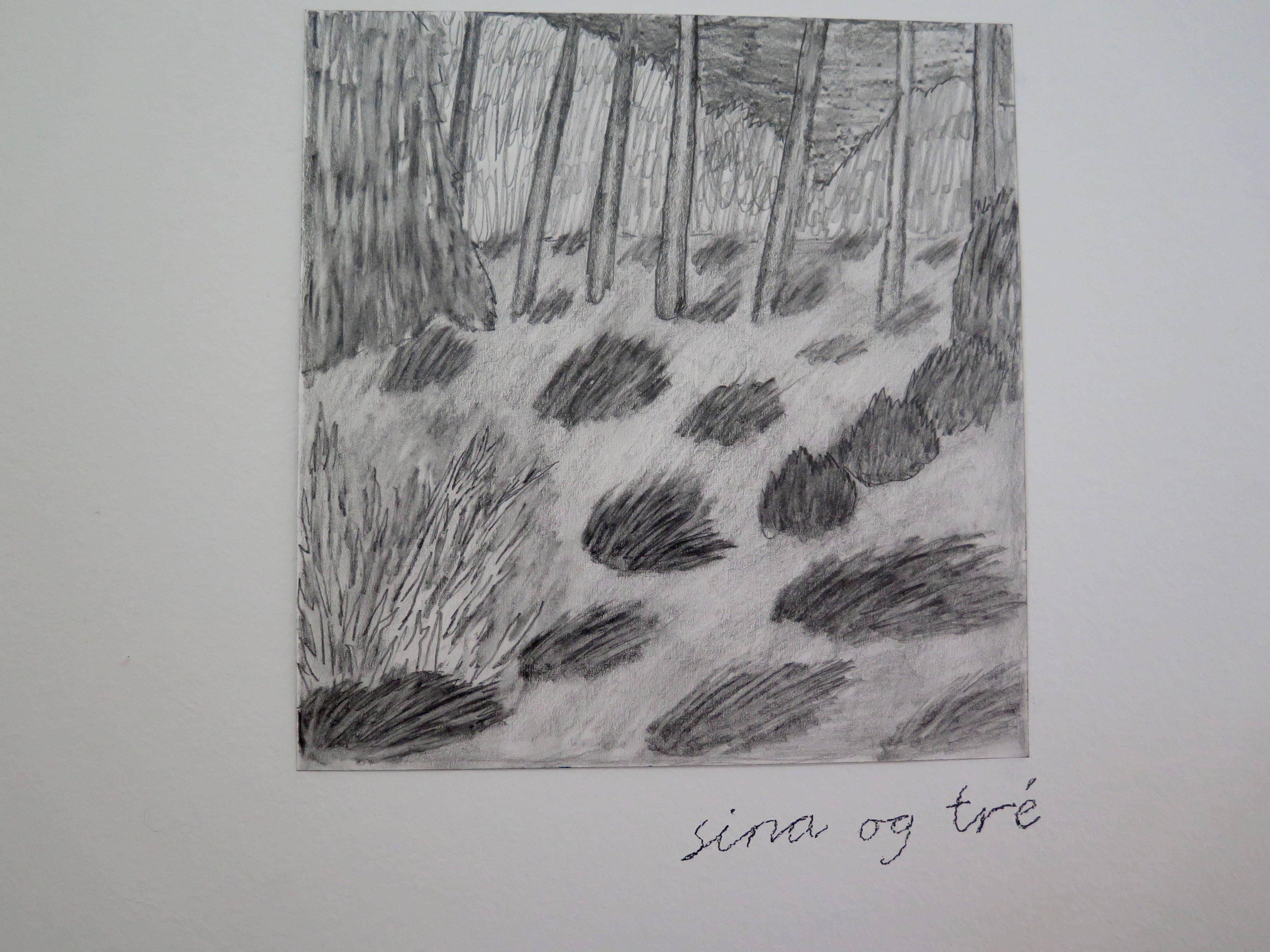Withered grass and trees