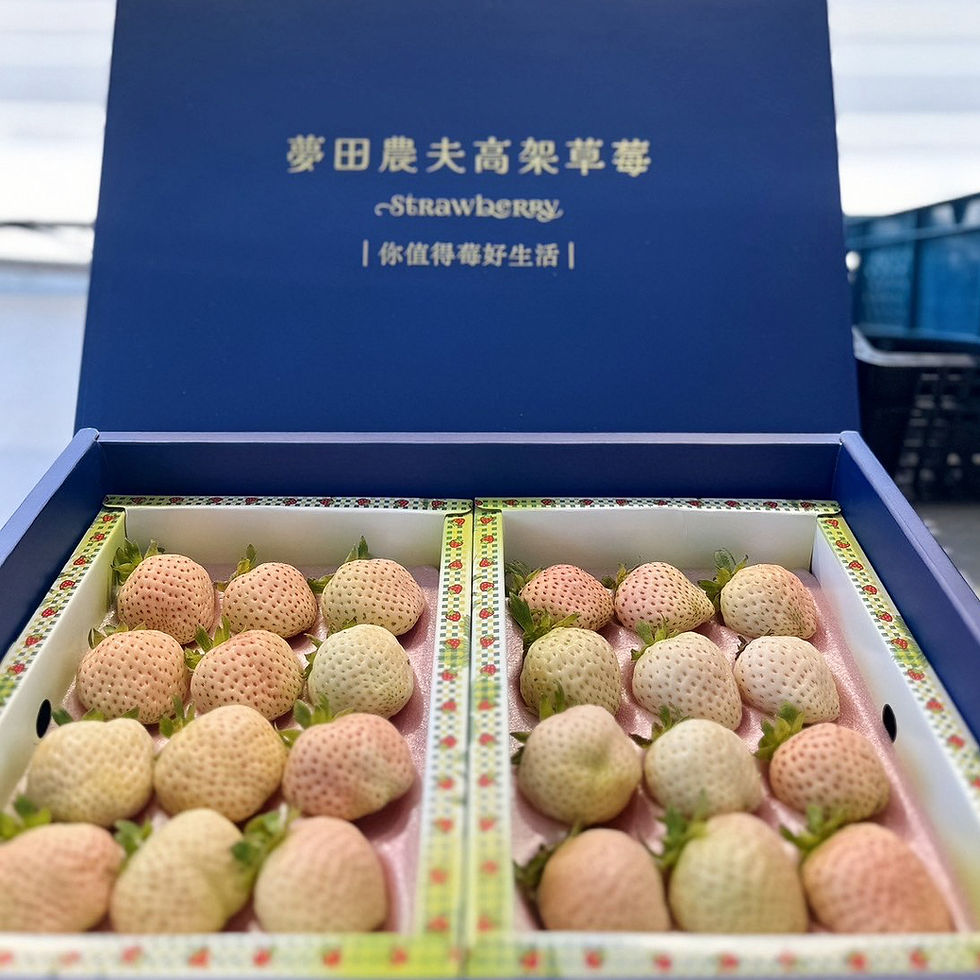 縮圖：【繽菓市】極致奢華款款｜白草莓冰淇淋10入禮盒