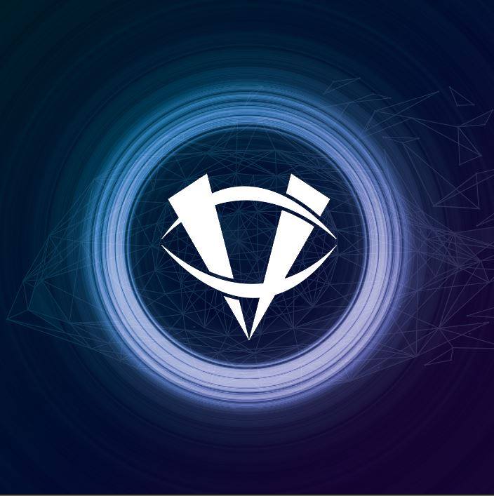 BJJ Vision Gym
