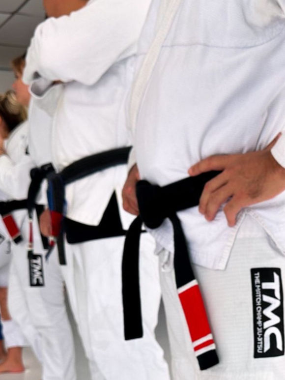 Estrututa e evolução do time TMC