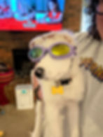 Thumbnail: Lottie Pearl