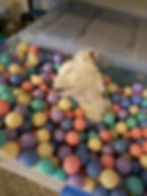 Thumbnail: Lottie Pearl