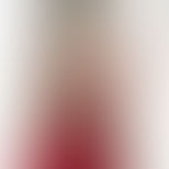 Chandigarh Escorts are picture-perfect darlings