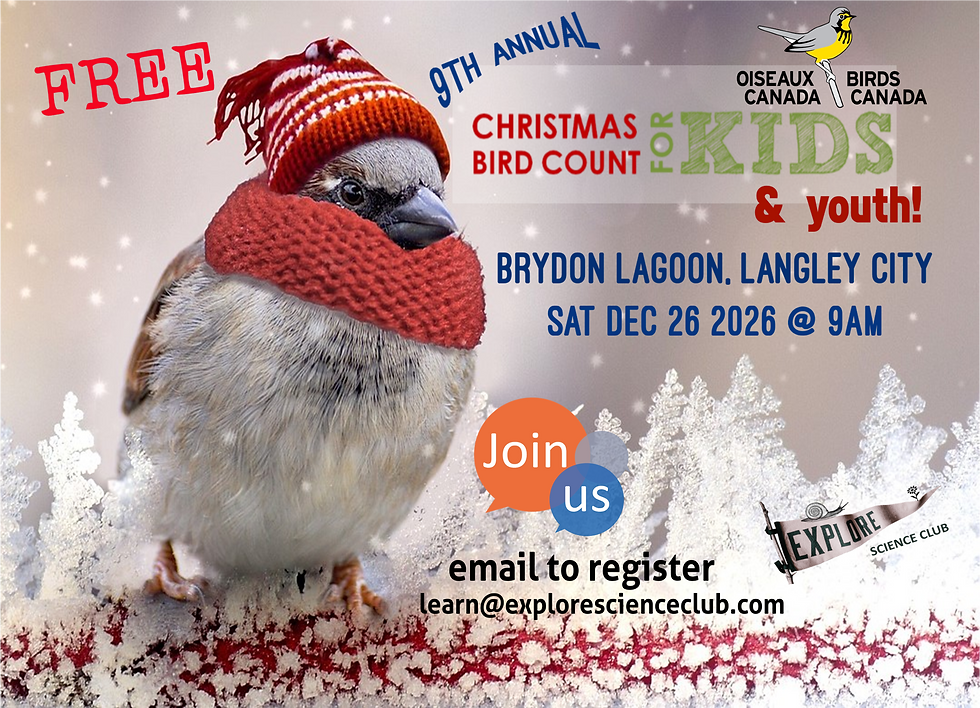 FLYER XMAS 2026