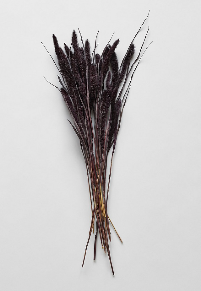 dried botanicals