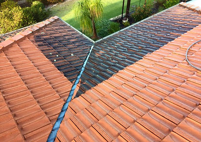 roof cleaning perth