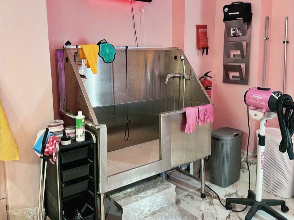 Pesuallas lemmikeille, pohjavillapesu, turkin hoito, shampoo